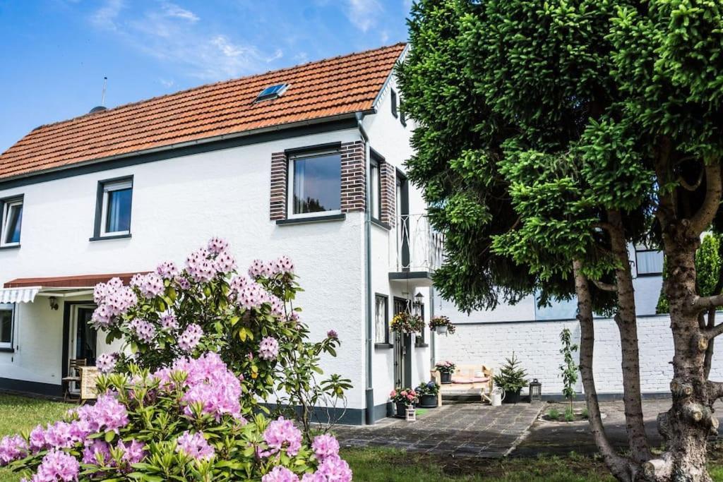 Schoenes Haus Mit Grossem Garten Seligenstadt Dış mekan fotoğraf